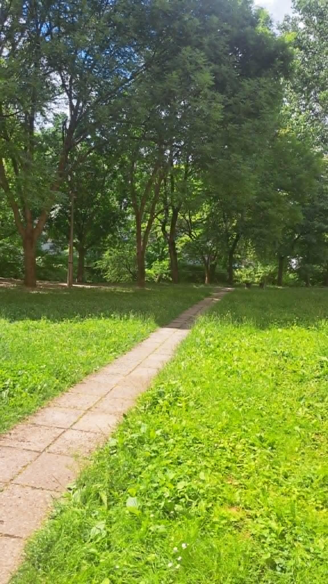 Kert és zöld környezet